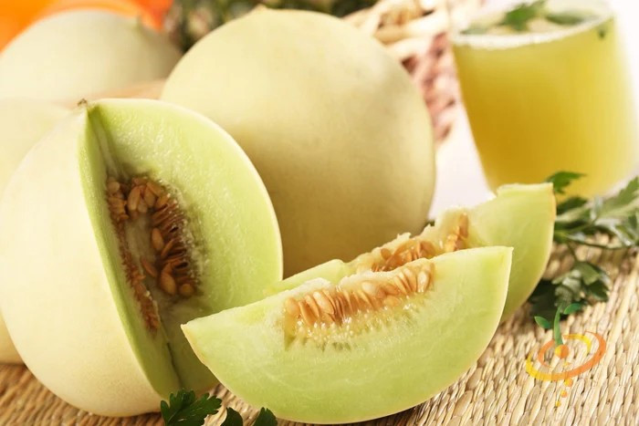 50+ Green Flesh Honeydew Seeds — Winter Melon — Heirloom — NON GMO