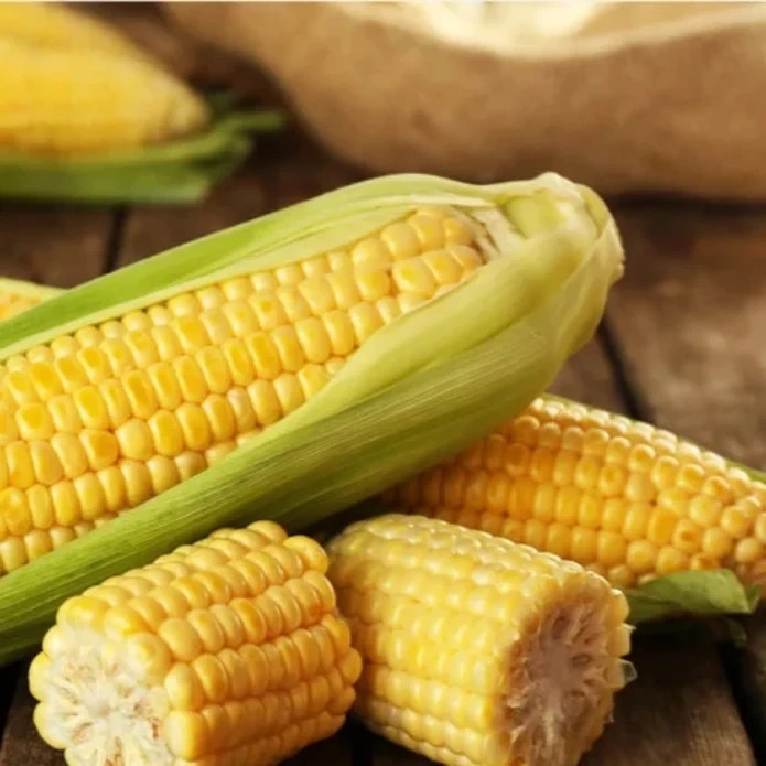 50 Golden Sweet Corn Seeds Classic Yellow Ears for Juicy & Tender Garden Harvest
