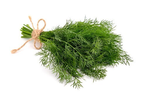 Dill Seeds – Bouquet – 250.mg
