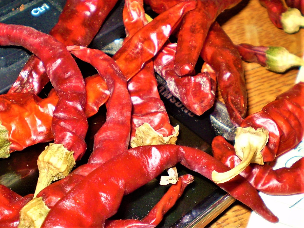 Corno Di Capra chili pepper seeds non-gmo open pollinated GREAT FRYER STUFFER