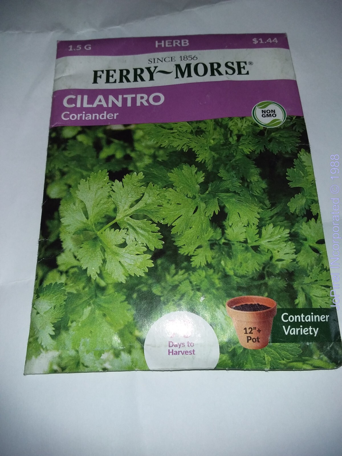 Cilantro 1.5 MG Herb Seed Non-GMO – Ferry Morse 70 days to harvest 12/22