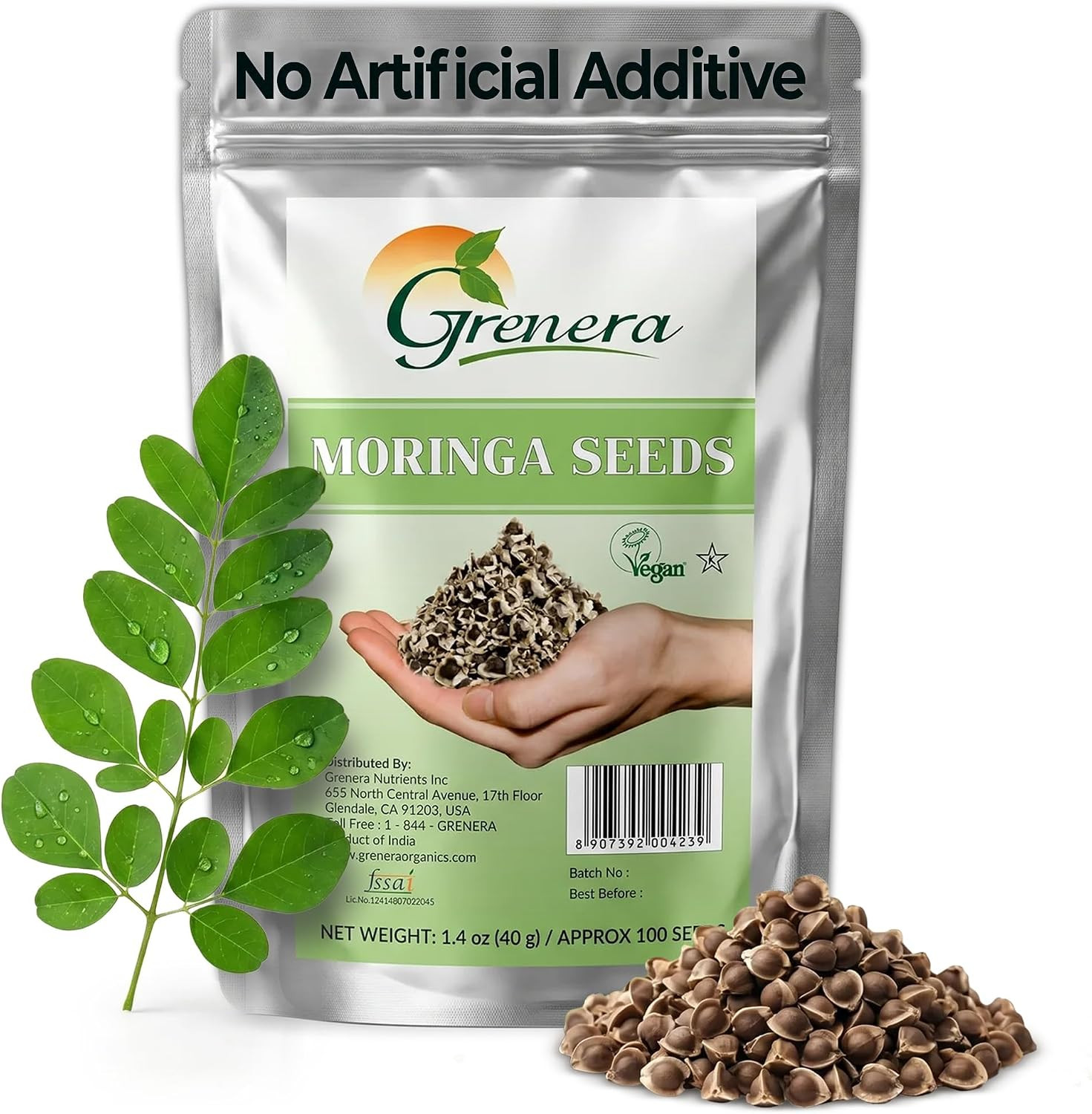 Moringa Seeds PKM 1 Variety | Edible Moringa Oleifera Seeds | Easy