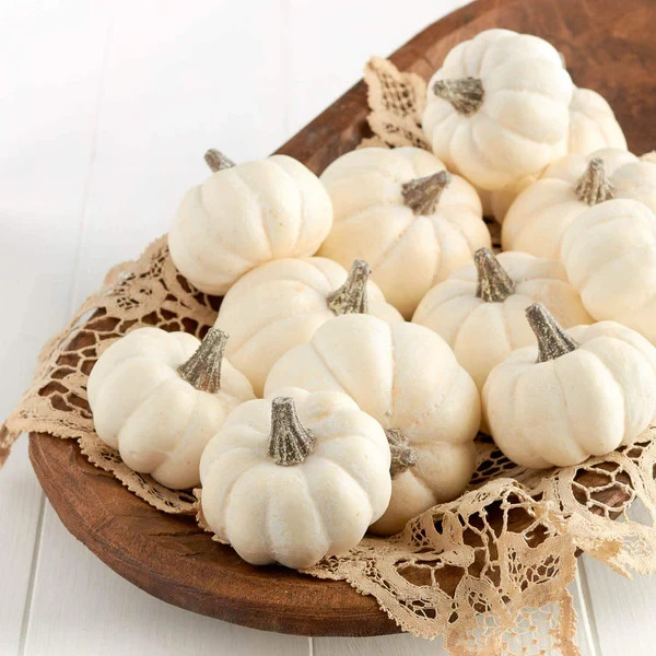 20 Baby Boo Pumpkin Seeds. Organic. USA Seeds. Ships free