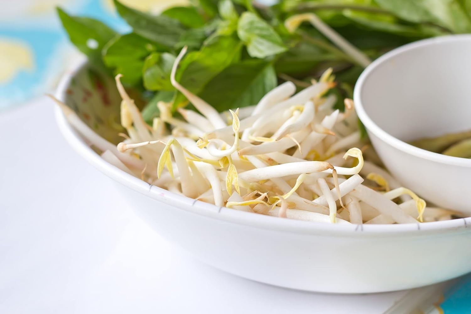 Fresh Mung Bean Seeds 1 lb – High Germination Rate, Perfect for Stir-Fry Meals