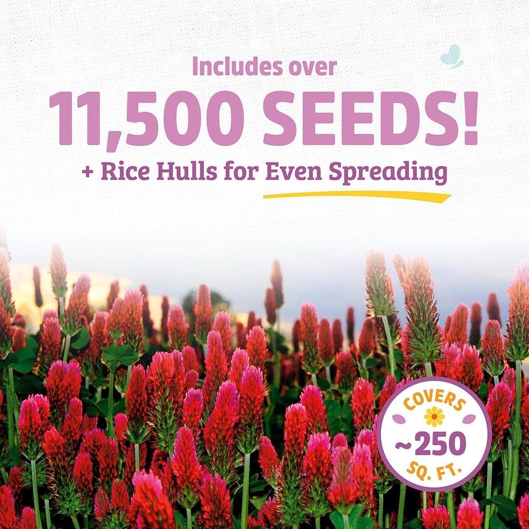 Back To The Roots Organic Crimson Cover Crop Seeds 8.8oz New Authentic