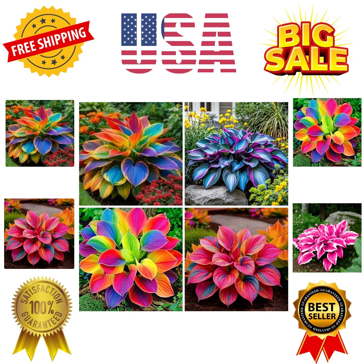 302+ Hosta Seeds for Planting Outdoors, Hosta Seeds Shade Plant Seeds Perenni…