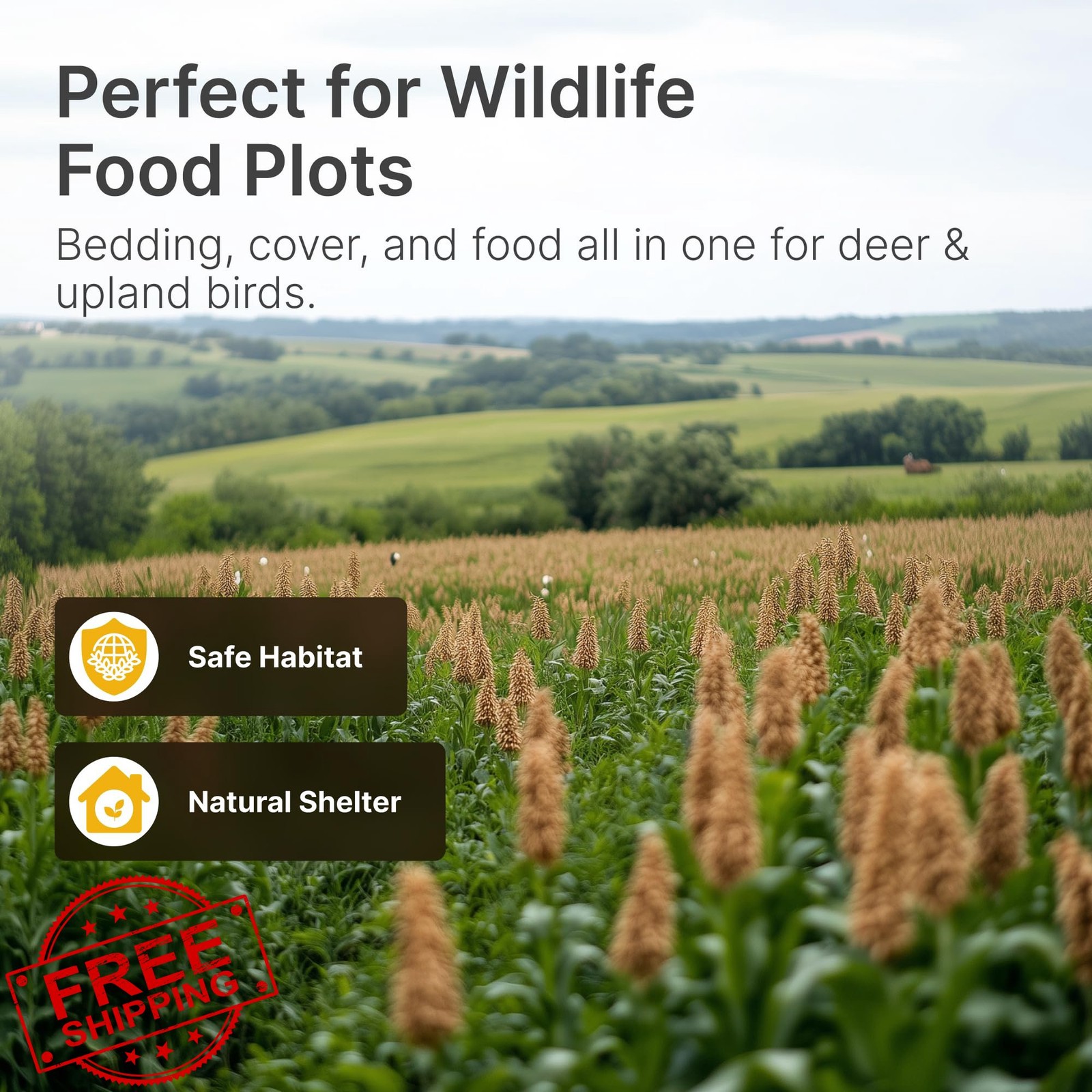 Hit List Seed Sorghum Food Plot Seeds Deer Planting 5 lbs