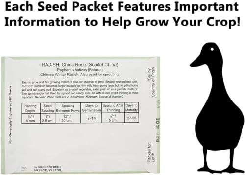200 Assorted Flower Seed Packets – Bulk Flower Seeds, 20+ Varieties for Garden