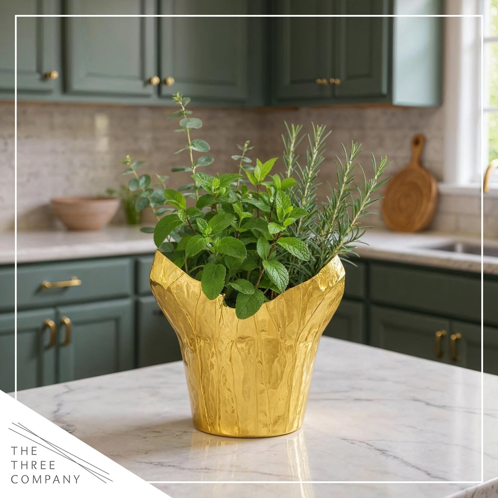 Live Aromatic and Healthy Herb Combo in Deco Cover – Breathe Better, Combo In…
