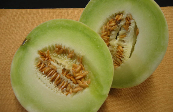 Cantaloupe Seed: Honey Dew Melon Seed Fresh Seed FREE Shipping