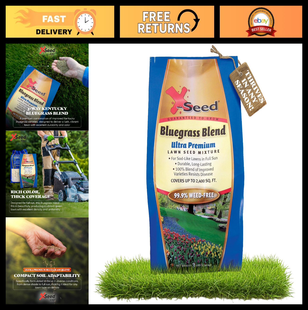 Fast-Growing Bluegrass Lawn Seed Blend – Drought-Tolerant, Cool-Season, 3 lbs, C
