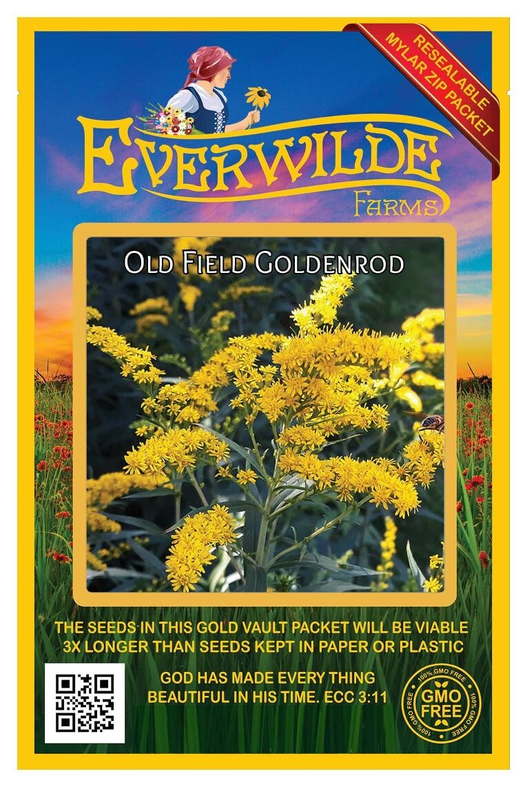 2000 Old Field Goldenrod Wildflower Seeds – Everwilde Farms Mylar Seed Packet
