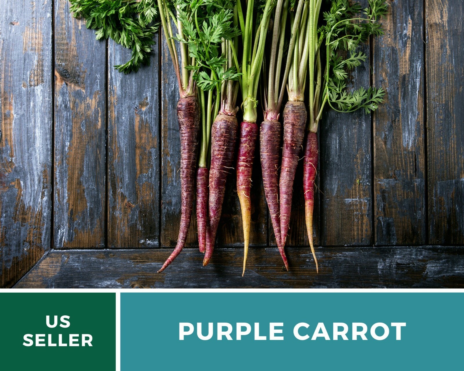 Carrot, Cosmic Purple – 250 Heirloom Seeds – Non-GMO (Daucus carota var stativus
