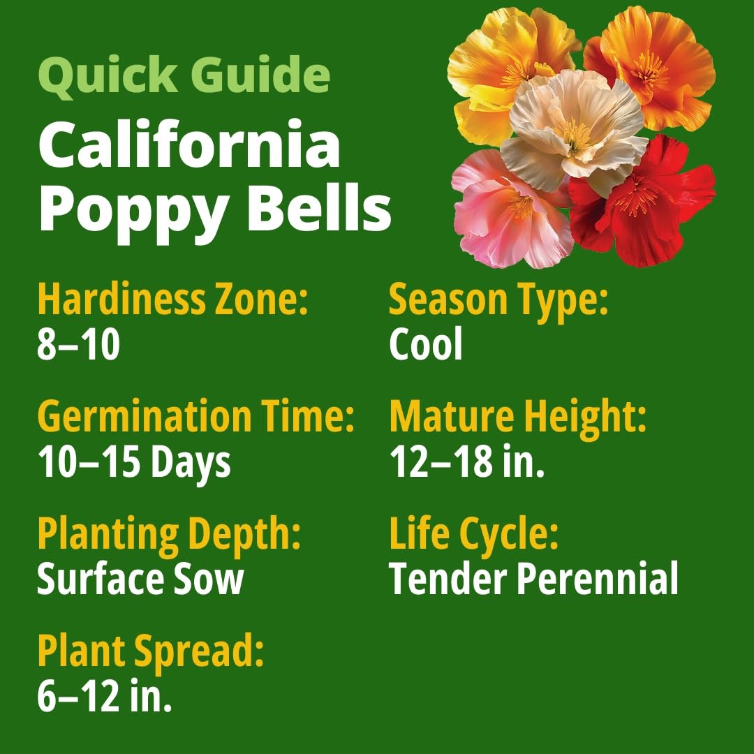 California Poppy Seeds 2200 DroughtTolerant Flower Seeds for Sunny Gardens