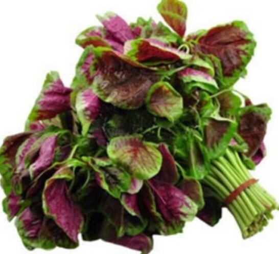 FreeShip 4oz 120,000 Rau Den Red Stripe Leaf AMARANTH Seeds; Chinese Spinach 紅莧菜