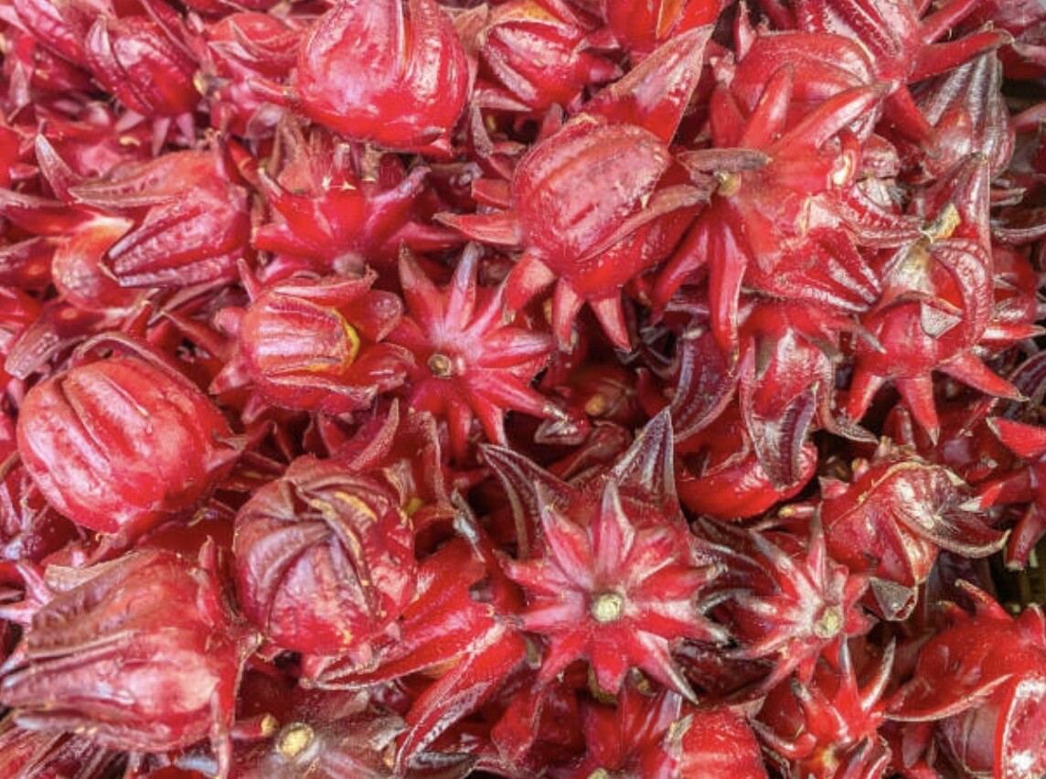 50+ SEEDS Hibiscus Sabdariffa | Roselle Seeds | Asian Sour Leaf | NON-GMO