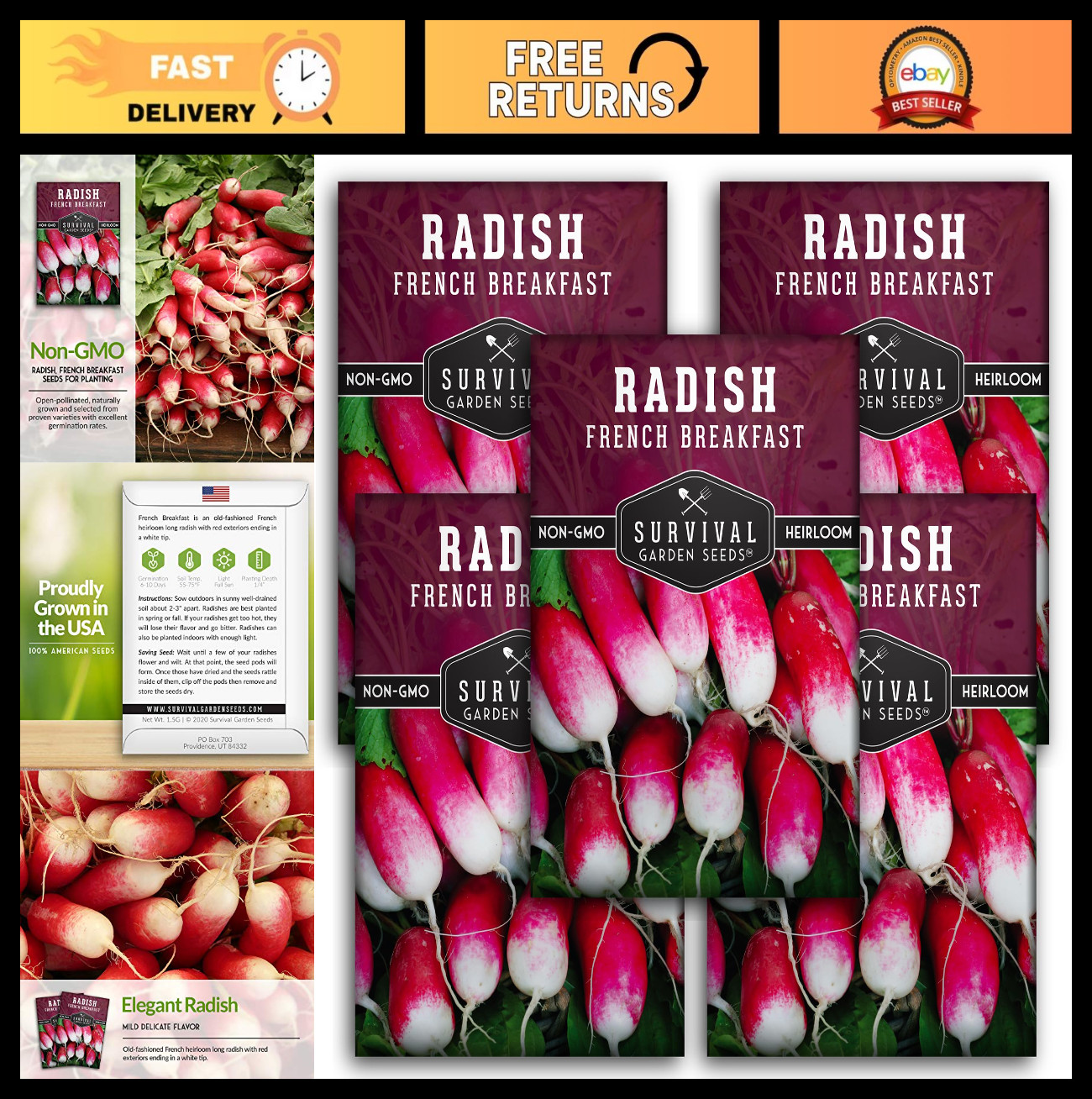 Heirloom French Breakfast Radish Seeds – Fast-Growing, Long Red & White Roots –