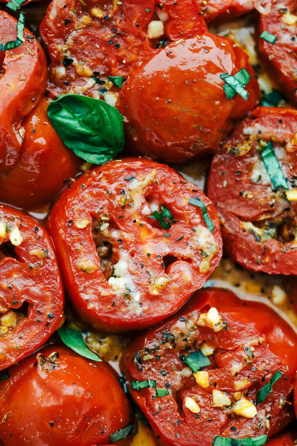 Moneymaker Vine Tomato Seeds | Indeterminate Cordon Stake Tomatoes Seed for 2025