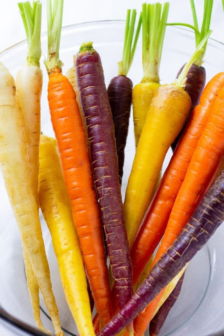 Rainbow Carrot Seeds | NON-GMO | Heirloom | Fresh Vegetable Seeds