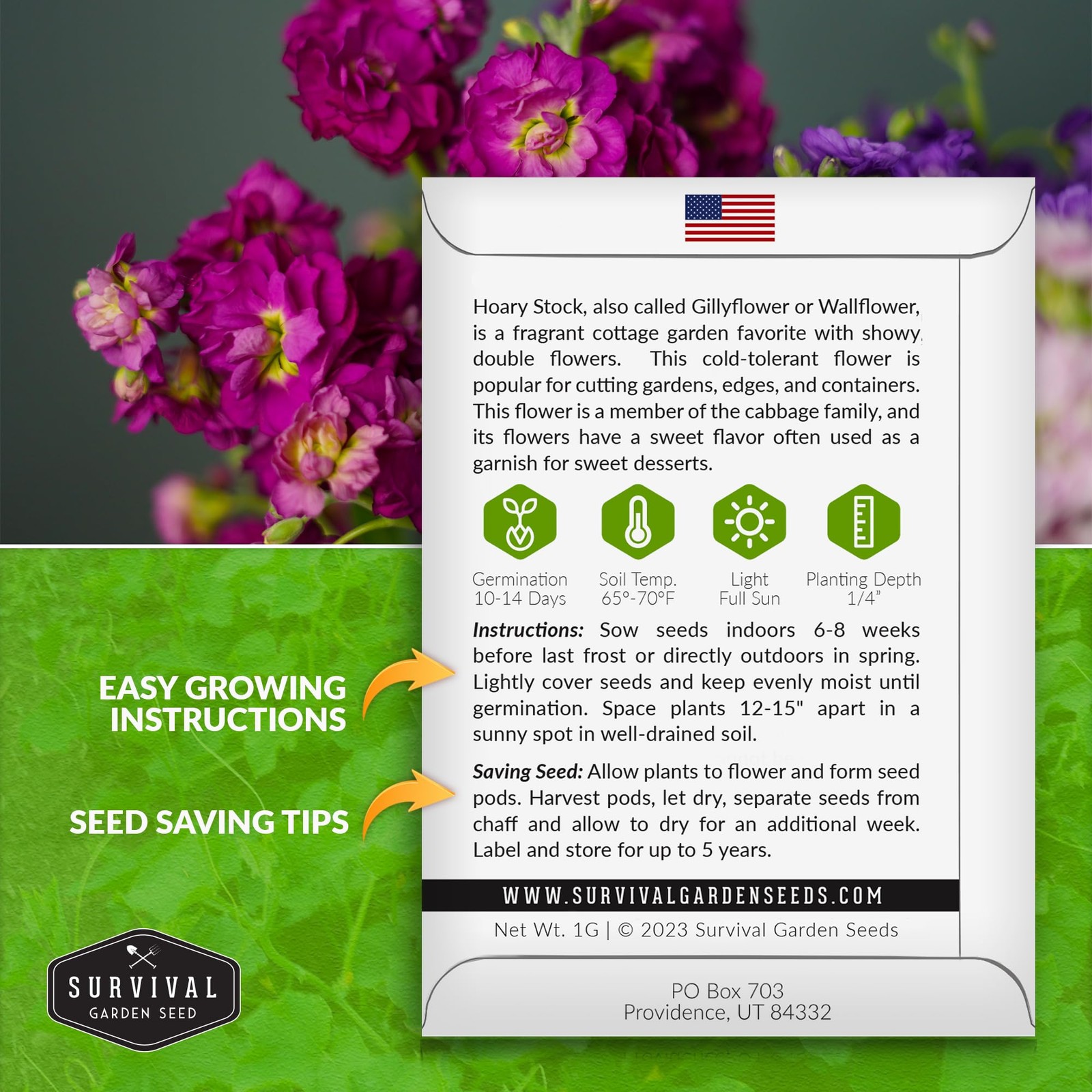 Fragrant Stock Flower Seeds NonGMO Heirloom for Cut Flower Garden 3 Packs