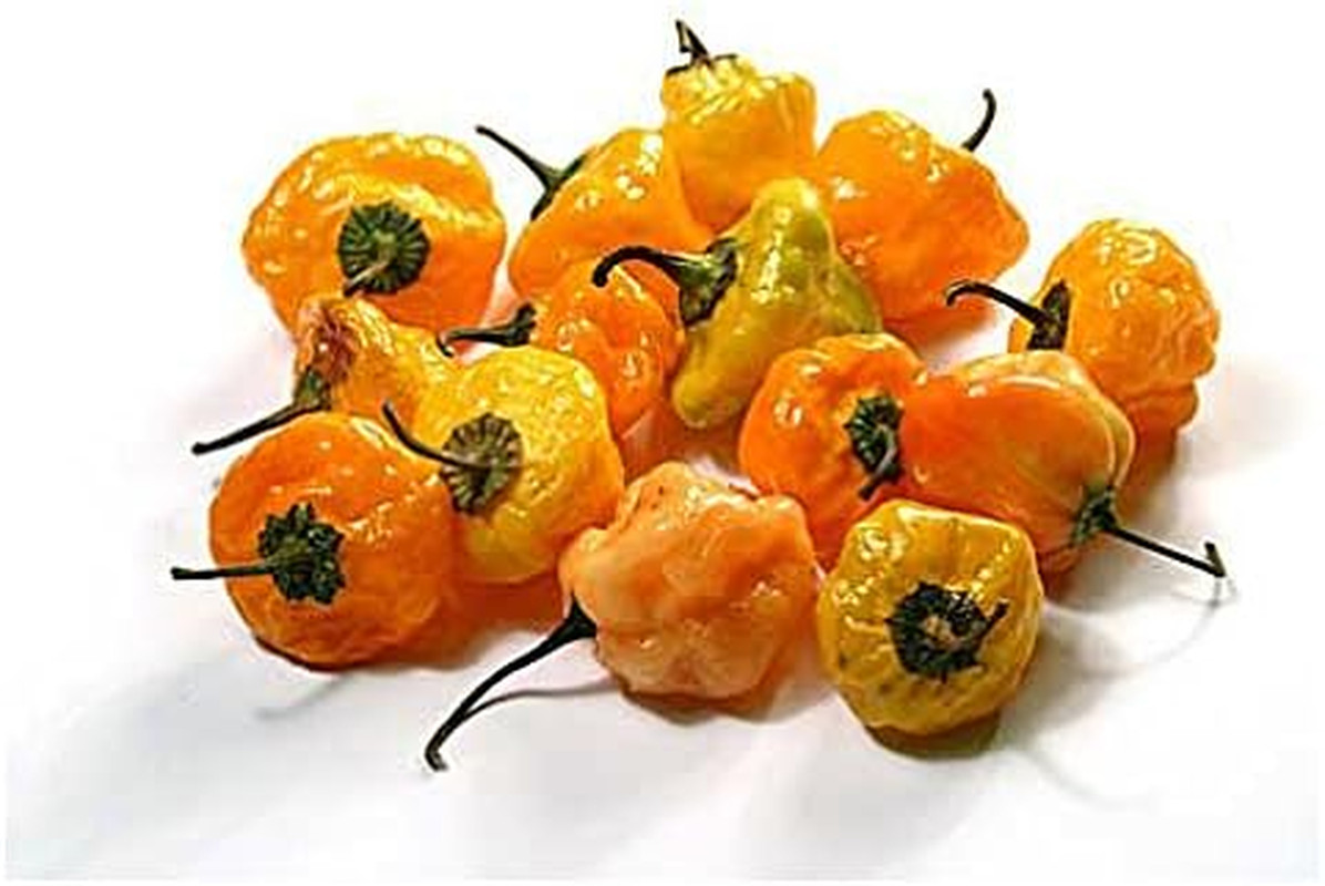 30 Yellow Scotch Bonnet Jamaican Hot Pepper Seeds Heirloom Non-Gmo Super Hot