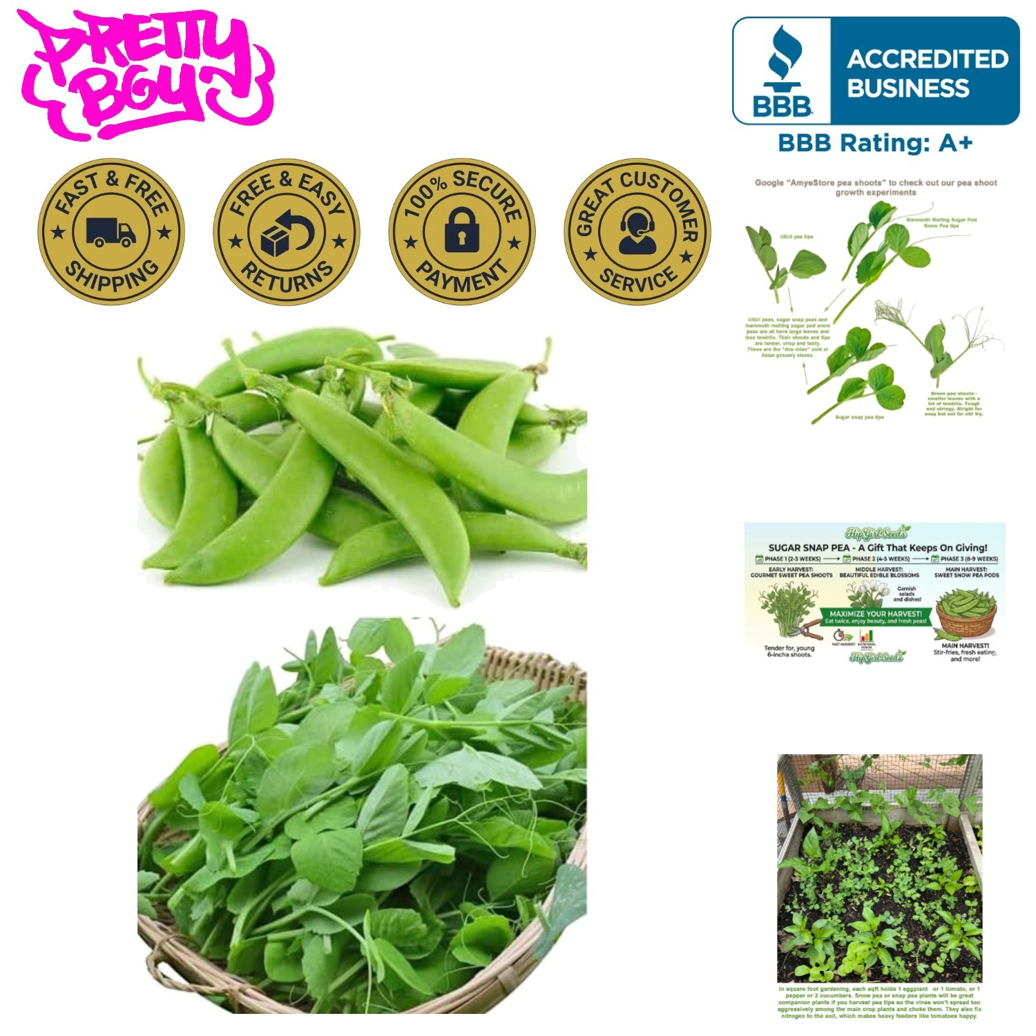 Sugar Snap Pea & Bean Collection: 65 Non-GMO Seeds – Easy-Grow Garden Essentials