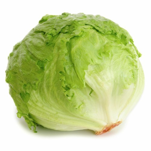 Iceberg Lettuce Head Seeds, NON-GMO, FREE SHIPPING