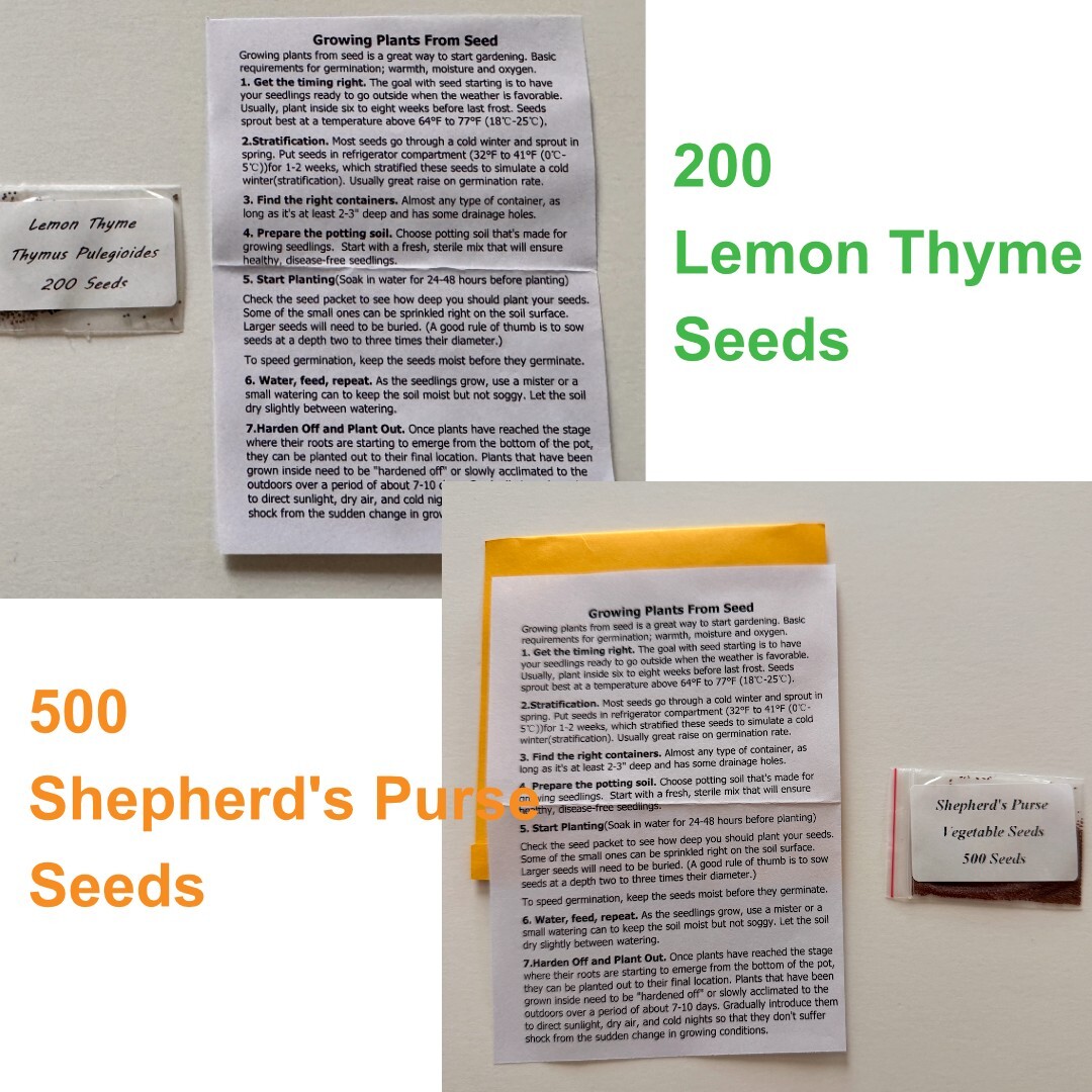 200 Lemon Thyme Seeds + 500 Shepherd’s Purse Seeds