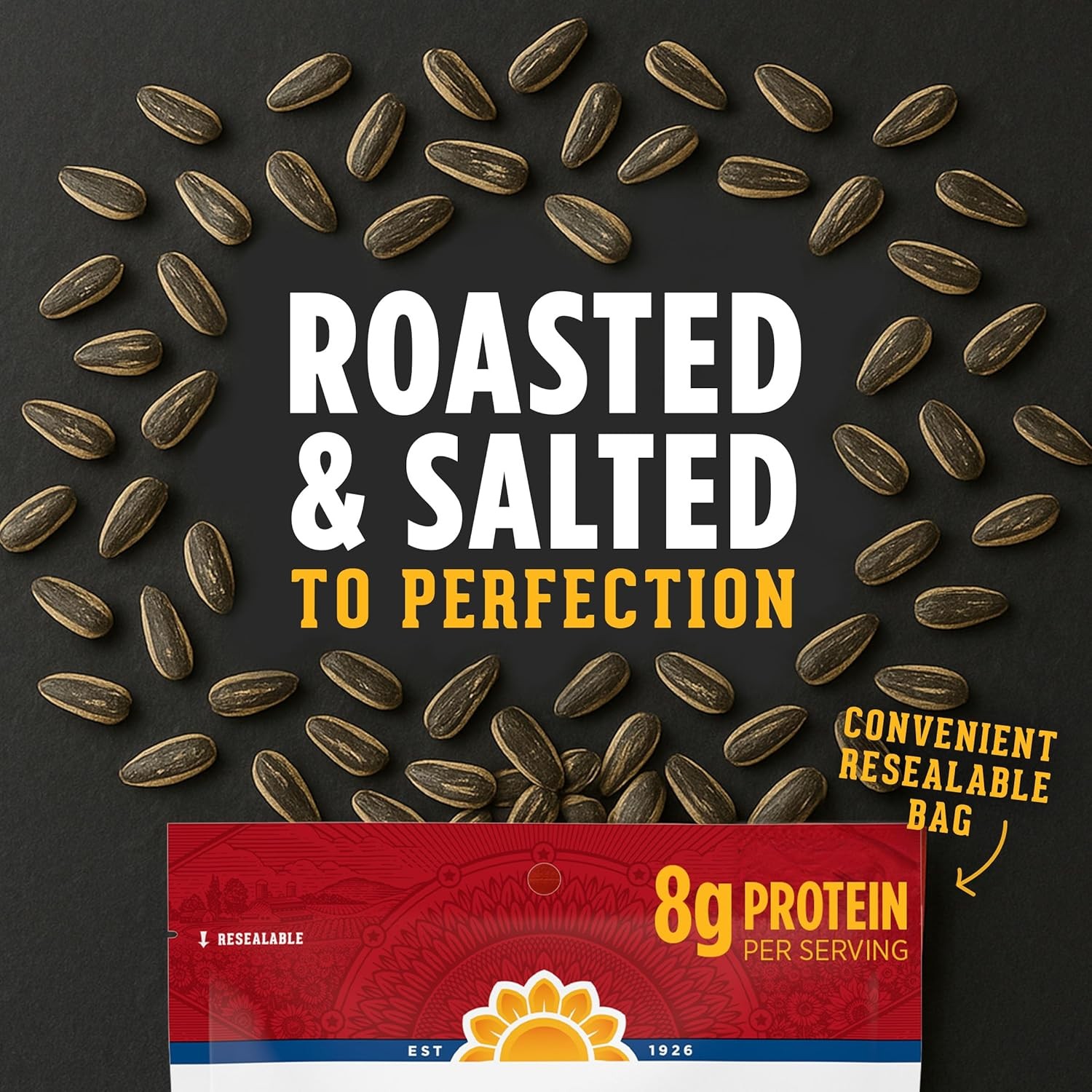 DAVID Sunflower Seeds Original Flavor 14.5oz Pack of 12