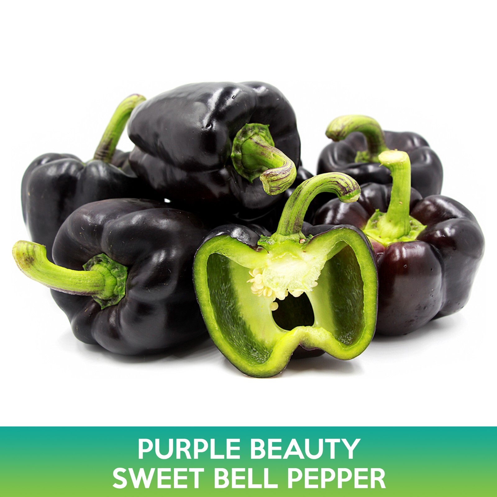 Purple Beauty Sweet Bell Pepper Seeds