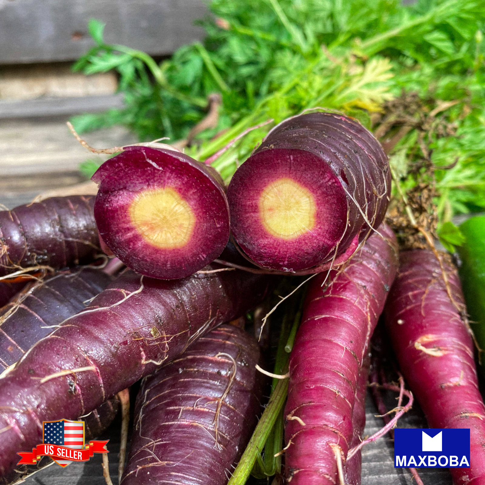 Carrot Seeds Cosmic Purple Organic Non-GMO Heirloom