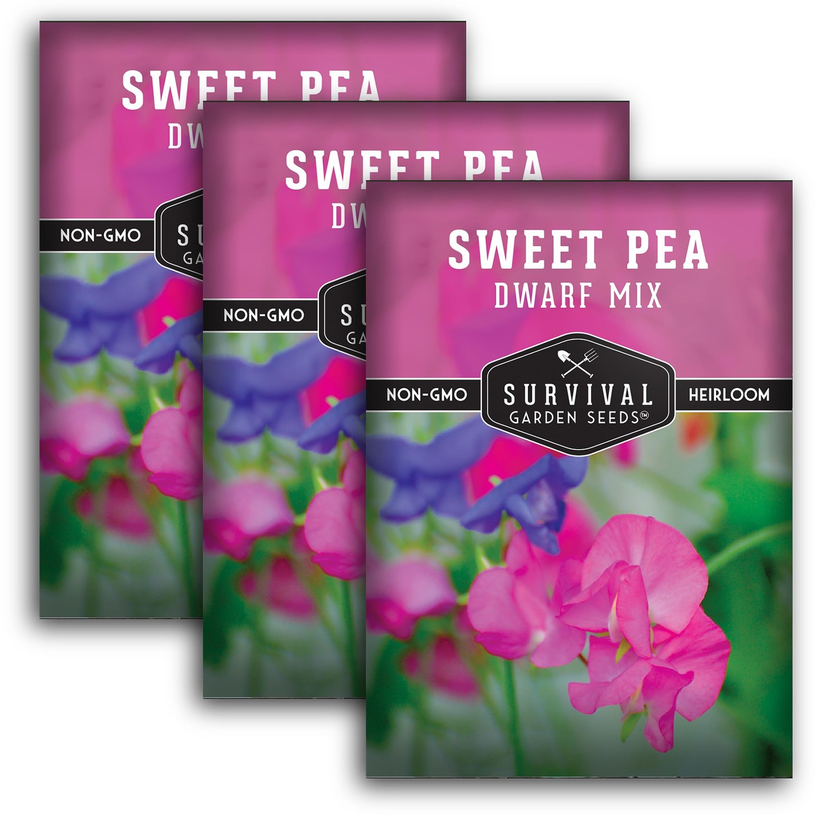 Compact Sweet Pea Seeds – Fragrant Flower Variety for Small Gardens and