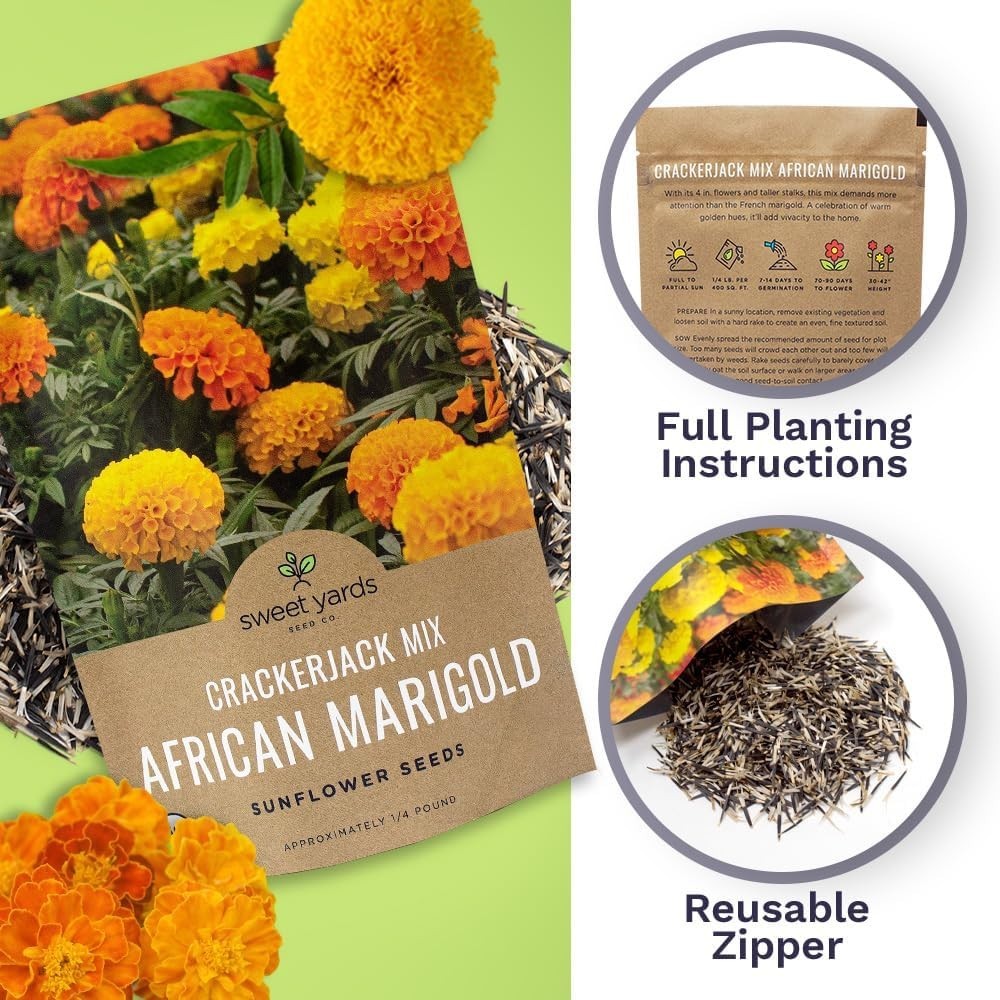African Marigold Seeds Crackerjack Mix – Bulk 1/4 Pound Bag – Over 40,000 See…