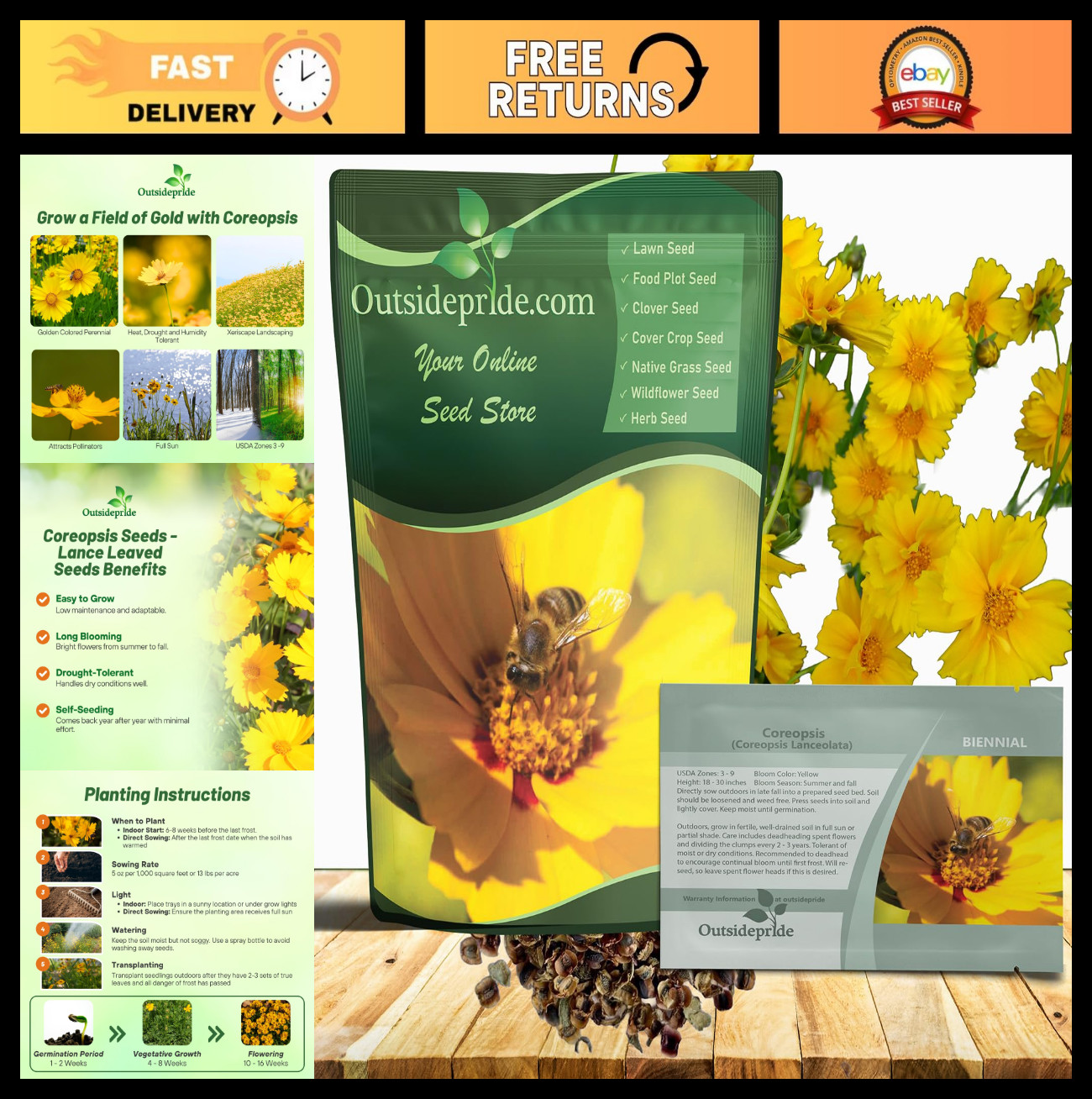 Lance-Leaved Coreopsis Seeds – 1 lb, Drought Tolerant Perennial Flower for Xeris