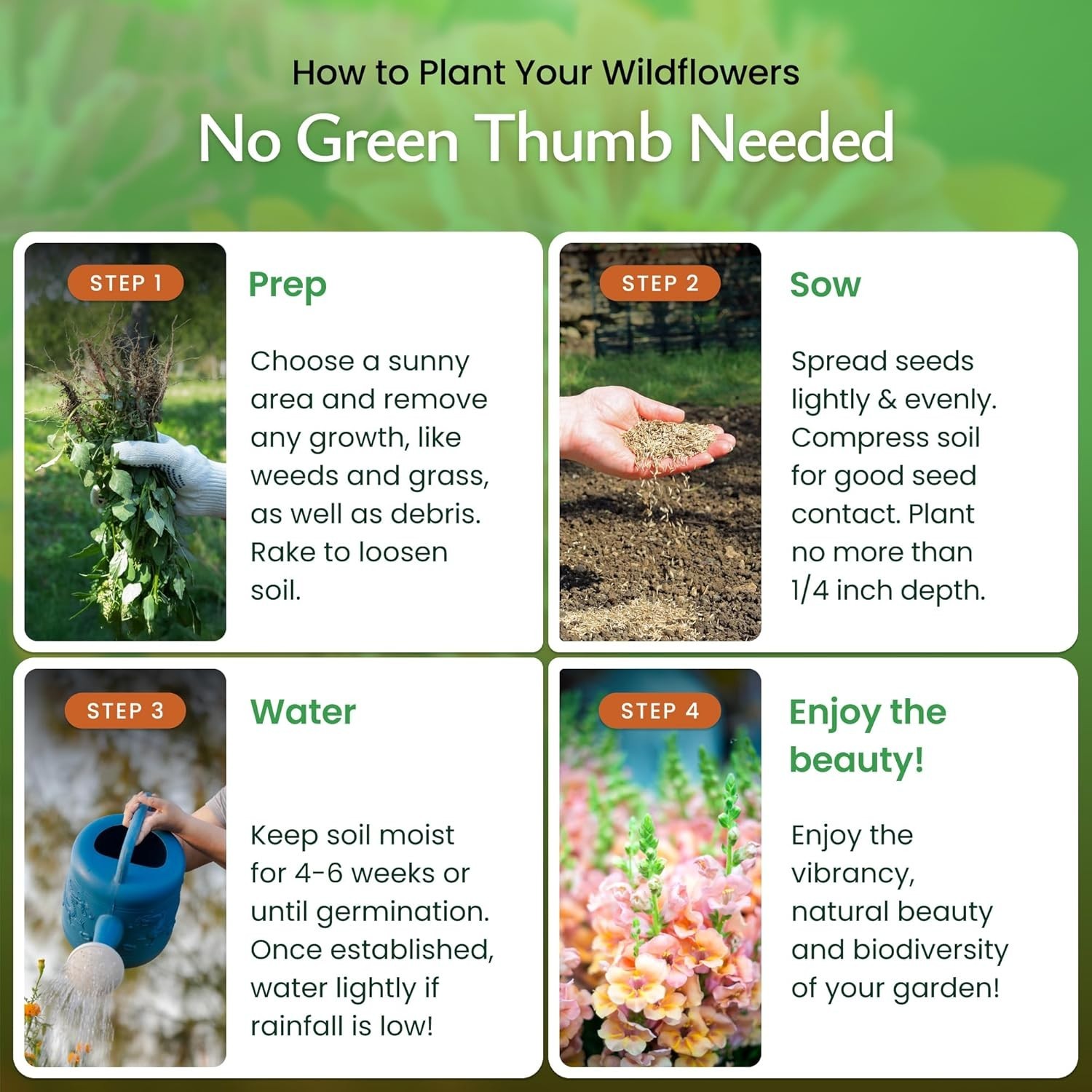 Create a Beautiful Butterfly & Hummingbird Garden – 60,000 Seed Wildflower Mix