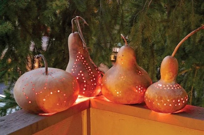 Birdhouse Bottle Gourd | Bird House Buddha Calabash Squash Craft Asian Seed 2023
