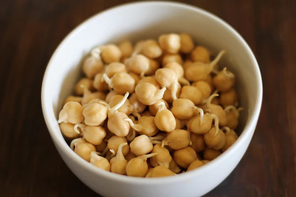 Marvel Chickpea Seeds | Garbanzo Beans Egyptian Pea Indian Edamame Seed 2024