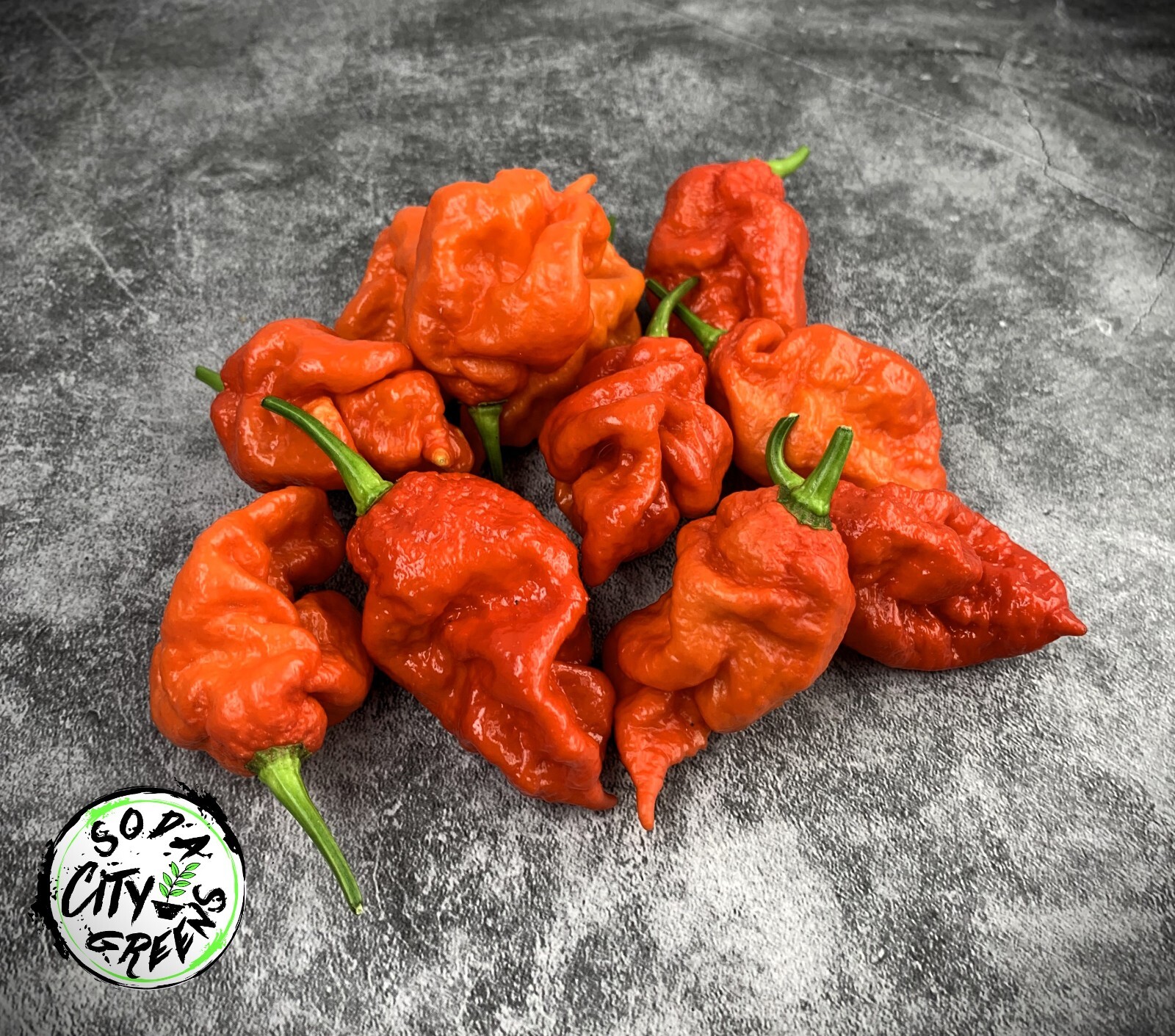 Reapion (Reaper x Scorpion Hybrid) Hot Pepper Seeds 10+