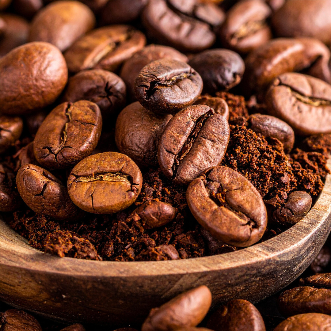 Fresh Premium Arabica Coffee Plant Seeds | 10 Seeds | Heirloom Non-GMO | Coffee