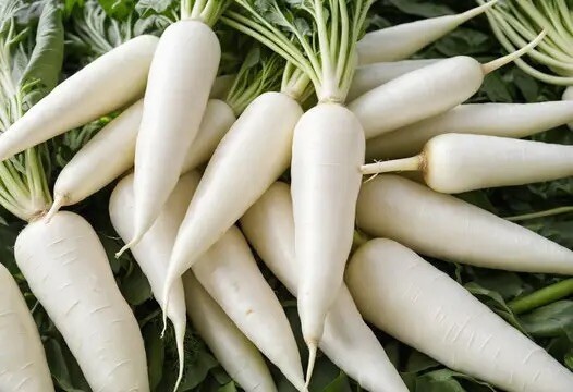 20 + Snow White Carrot Seeds / NON-GMO / Vegetable / Garden Panting / Organic