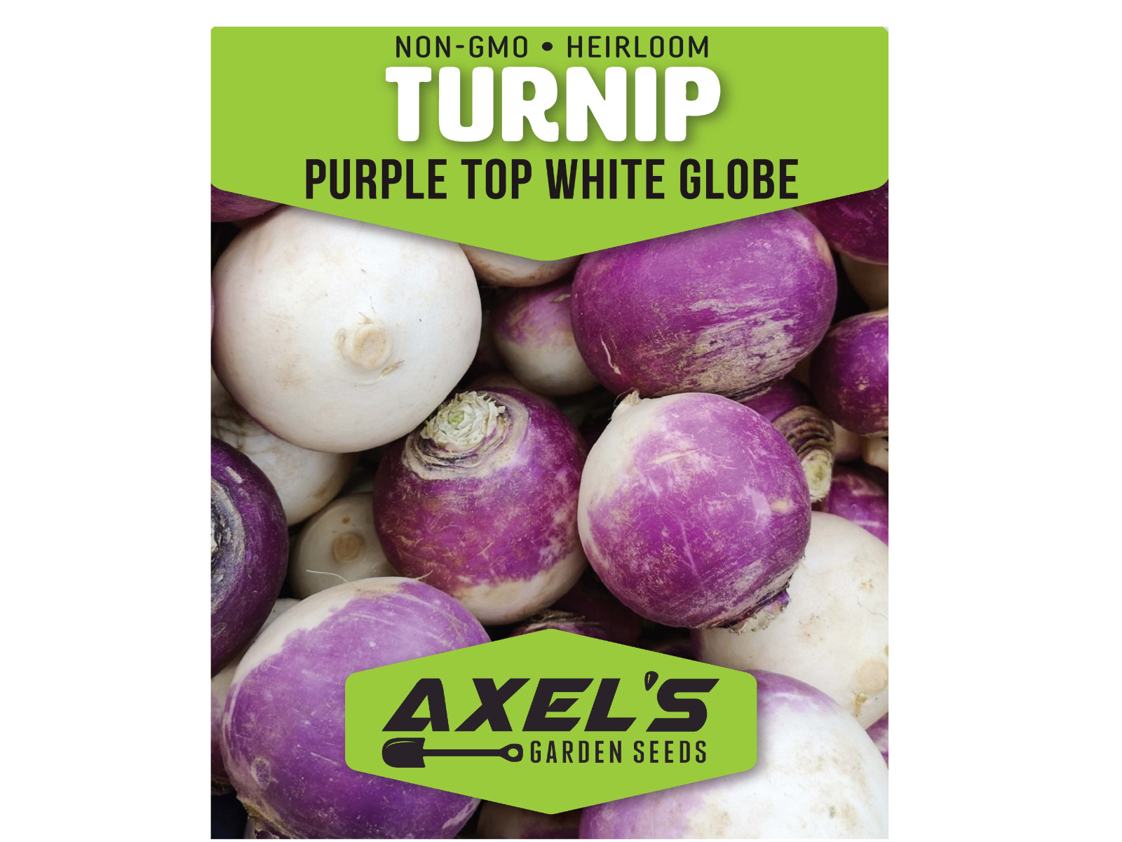 Purple Top Turnip Seeds | Non-GMO | Heirloom | Fresh Garden Seeds