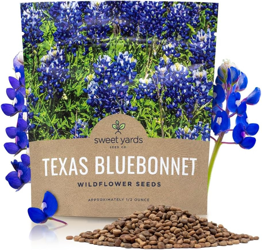 Texas Bluebonnet Wildflower Seeds – Bulk 1/2 Ounce Packet – over 500 Native Seed