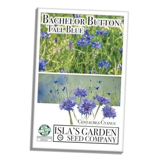 Bachelor Button Tall”Blue Cornflower Flower Seeds, 200+ Heirloom Seeds, (),