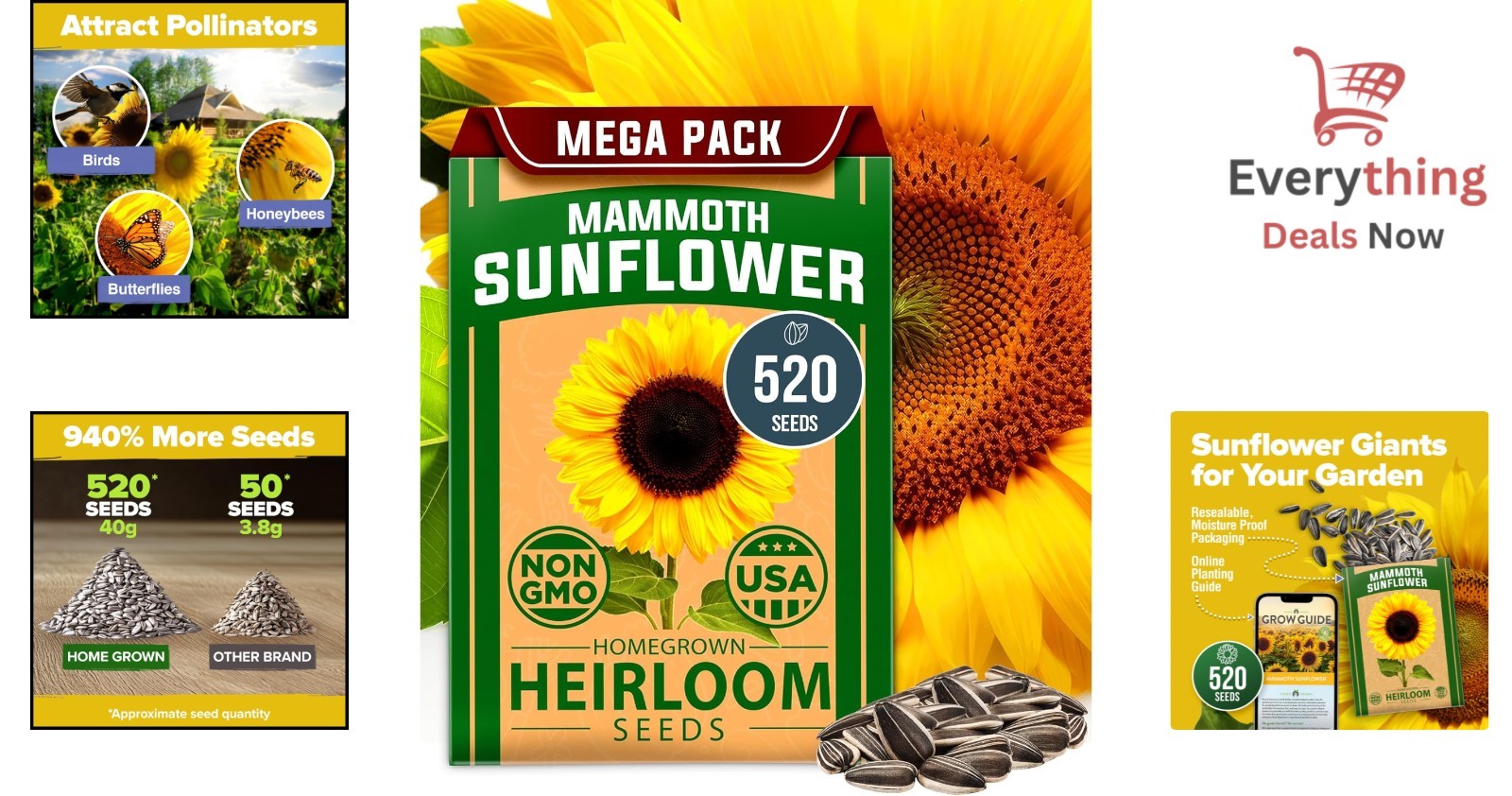 520+ Giant Mammoth Sunflower Seeds Heirloom Non-GMO Jumbo Garden Flower Bulk