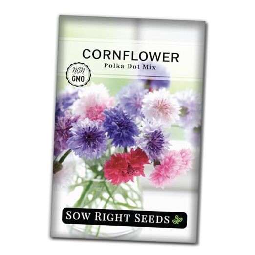 – Polka Dot Mix Cornflower Seeds for Planting – Non-GMO Heirloom Packet with 1