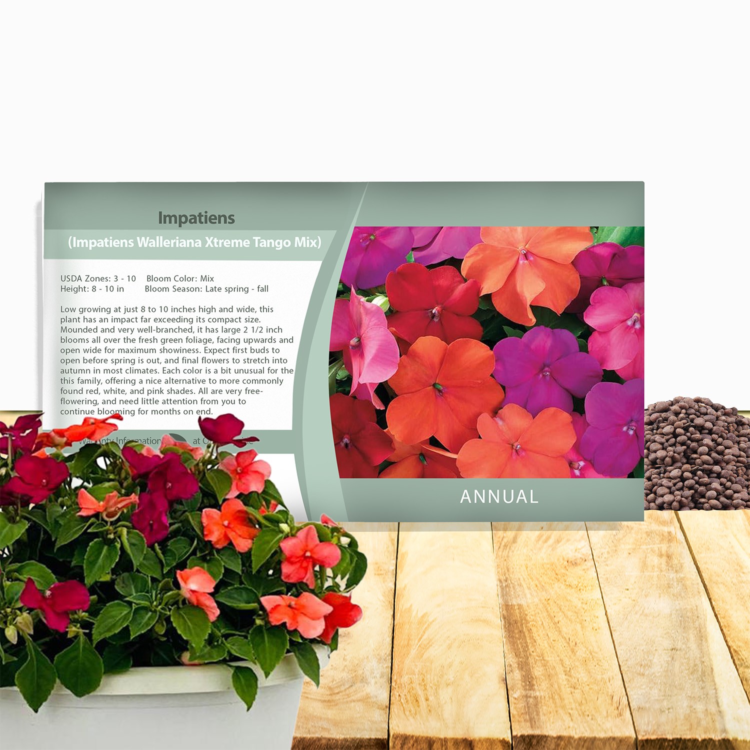 200 Seeds Impatiens Walleriana Seed Mix For Planting – Tango Mix Flower Seeds