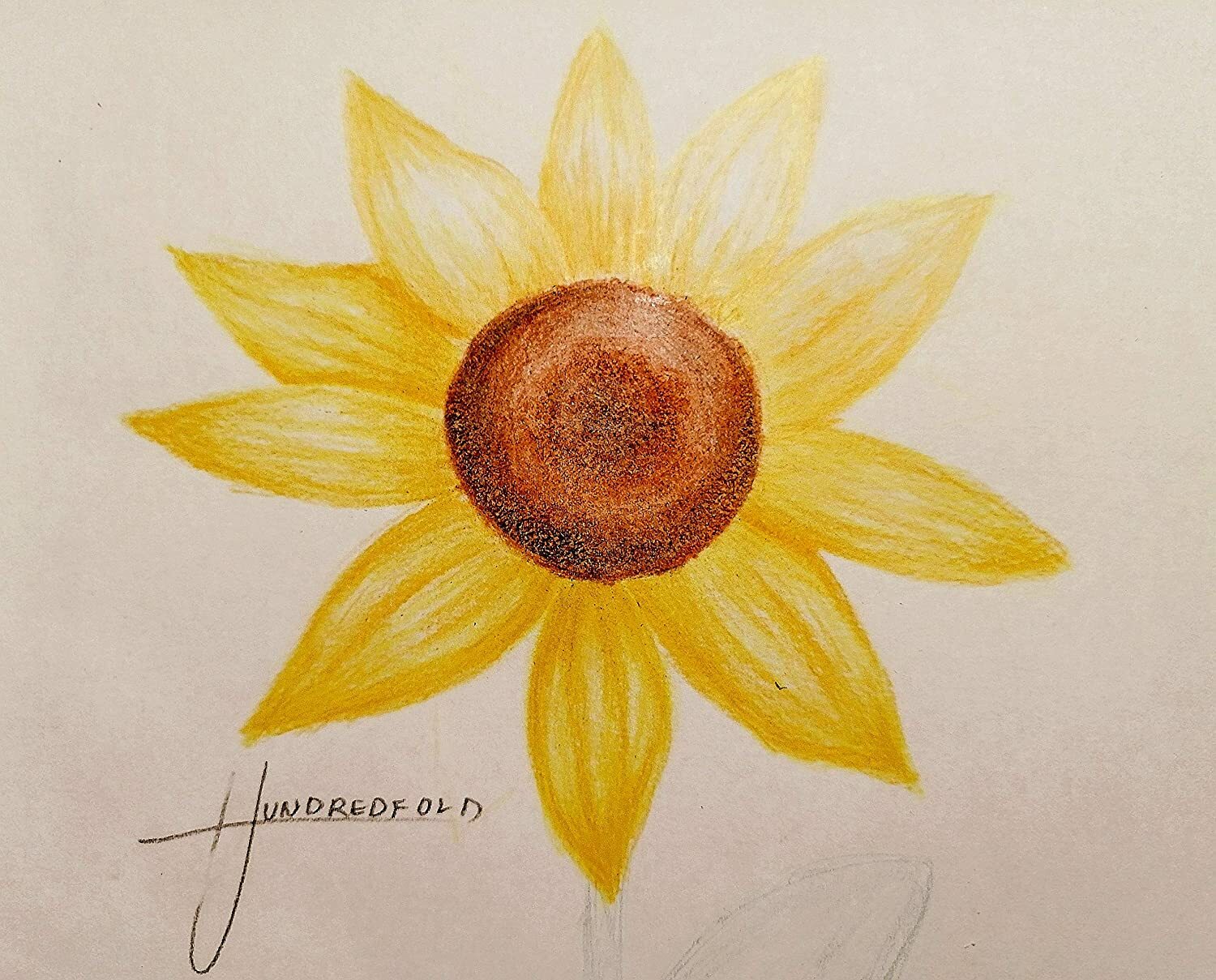 Hundredfold Dwarf Sunflower 25 Seeds – Helianthus annuus Single-stem, Containers