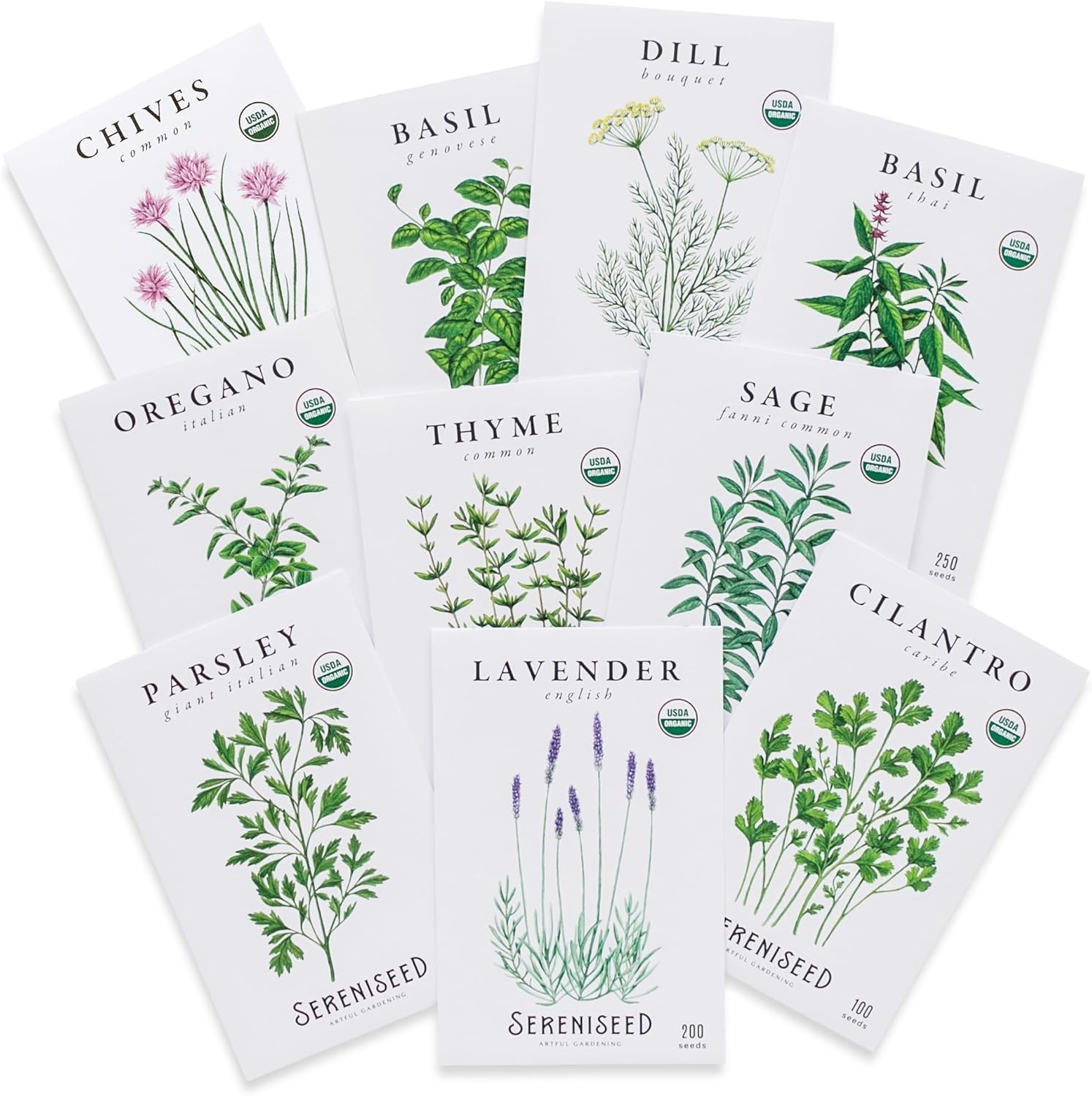 10-Pack Organic Herb Seeds – Non-GMO & Heirloom Varieties for Culinary Gardening
