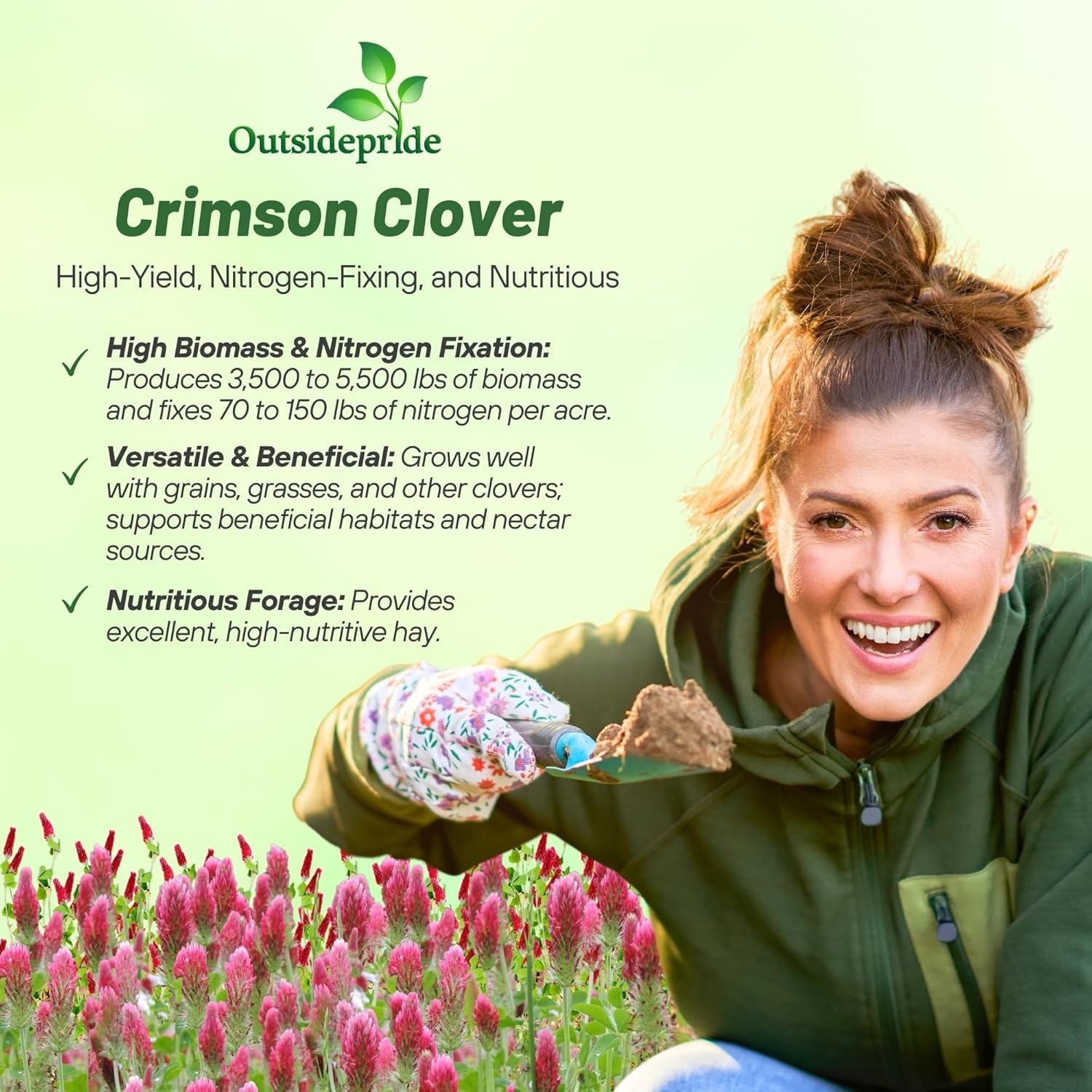 Crimson Clover Seeds – 10 lbs Nitrocoated, Perfect for Lawns & Soil Enrichment