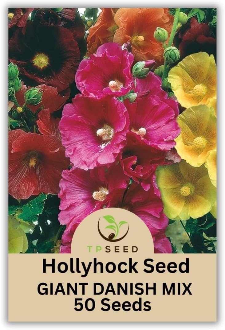 Giant Danish Mix Hollyhock Seeds 50 Count Biennial Flowers for Outdoor Garden